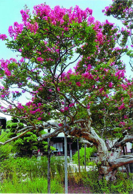 鎌倉朝日新聞社