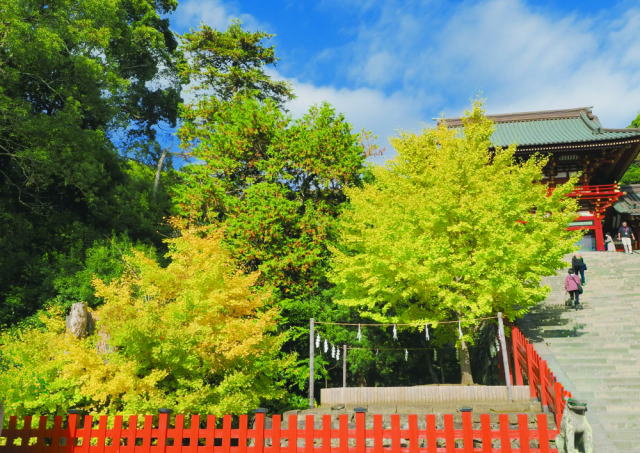 鎌倉朝日新聞社