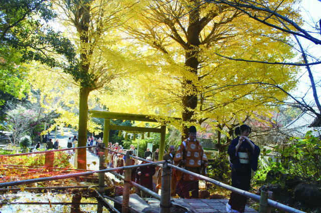 鎌倉朝日新聞社